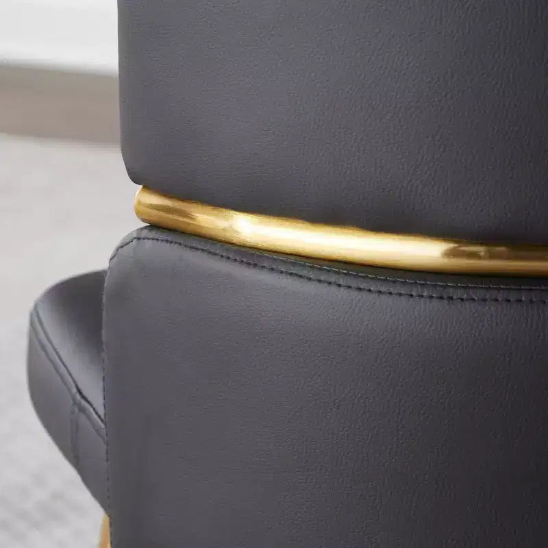 Lot de 2 chaises de salle à manger