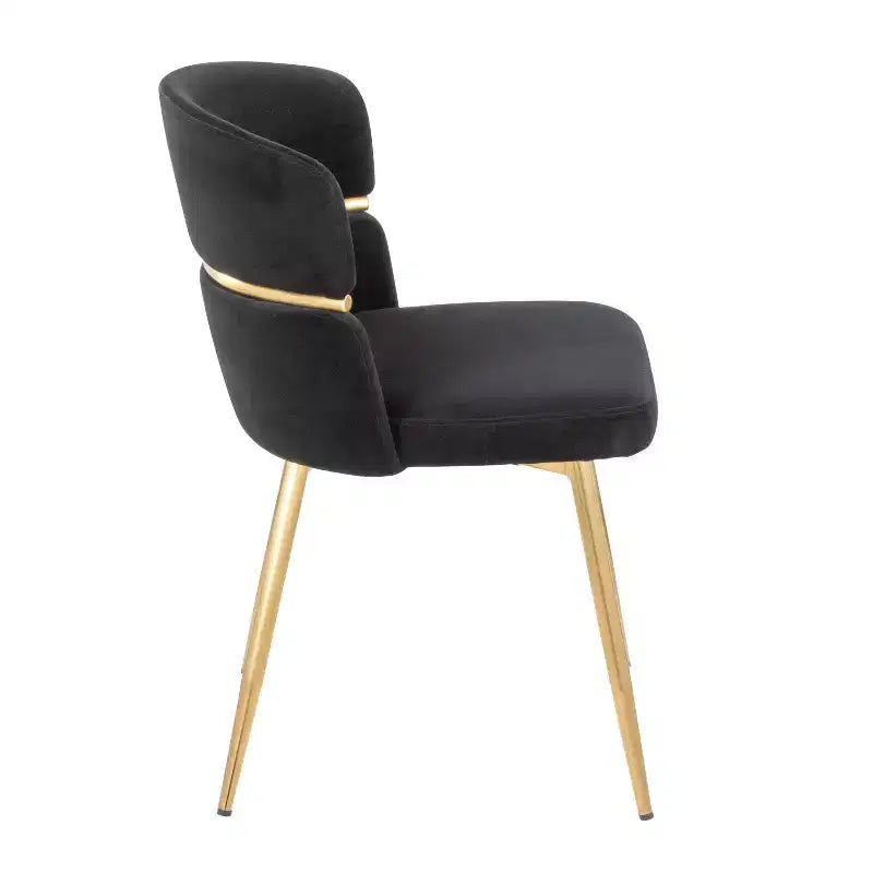 Lot de 2 chaises de salle à manger