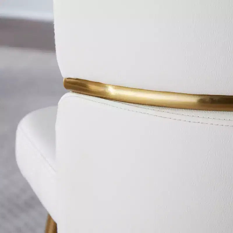 Lot de 2 chaises de salle à manger